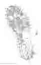 Fig. 03 - Golf shoe outsole