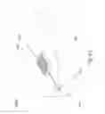 Fig. 09 - Thermal footwear
