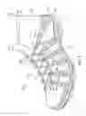 Fig. 06 - Decoupled foot stabilizer system