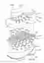 Fig. 32 - Decoupled foot stabilizer system