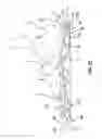 Fig. 11 - Shoe sole with energy restoring device