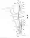 Fig. 14 - Shoe sole with energy restoring device