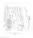 Fig. 04 - Article with sole structure having multiple components