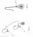 Fig. 08 - JEWELRY SYSTEM USING INTERCHANGEABLE EARRINGS
