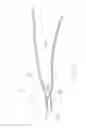 Fig. 14 - HAIR CLIP ASSEMBLY