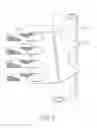 Fig. 06 - Fixing mount for fixing an elastic strip on a chair