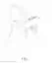 Fig. 02 - Belt strap of high chair for dining