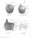 Fig. 06 - Universal lid for food and drink containers
