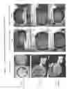 Fig. 07 - Flushable wipes