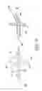 Fig. 10 - Indwelling bladder catheter