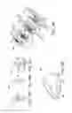 Fig. 16 - Indwelling bladder catheter
