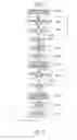 Fig. 08 - BIOLOGICAL INFORMATION DETECTING DEVICE AND BIOLOGICAL INFORMATION DETECTING METHOD