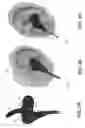 Fig. 05 - SYSTEM AND METHOD FOR PROVIDING SLEEP RECOMMENDATIONS USING EARBUDS WITH BIOMETRIC SENSORS