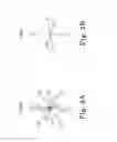 Fig. 04 - Impedance based anatomy generation