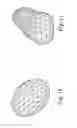 Fig. 10 - Impedance based anatomy generation