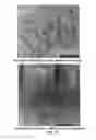 Fig. 14 - Multi-beam stereoscopic X-ray body scanner