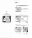 Fig. 07 - Ultrasound diagnostic apparatus and method and computer readable storage medium