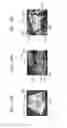 Fig. 19 - Ultrasound diagnostic apparatus and method and computer readable storage medium