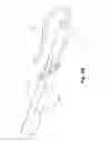 Fig. 51 - SURGICAL CLOSURE SYSTEMS AND METHODS
