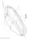 Fig. 63 - SURGICAL CLOSURE SYSTEMS AND METHODS