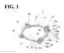 Fig. 02 - Pupil expander