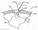 Fig. 01 - Non-sliding soft anchor