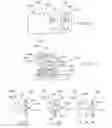Fig. 11 - ANCHORS AND CINCHING FOR TISSUE OPPOSITION