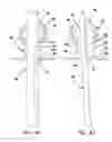Fig. 22 - Highly responsive instrument seal