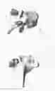 Fig. 04 - Circumferential vertebral column fixation system