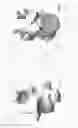 Fig. 08 - Circumferential vertebral column fixation system