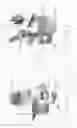 Fig. 25 - Circumferential vertebral column fixation system
