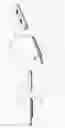 Fig. 40 - Circumferential vertebral column fixation system