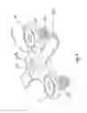 Fig. 08 - Device and method for treatment of spinal deformity