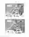 Fig. 19 - Device and method for treatment of spinal deformity