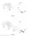 Fig. 43 - Composite material spinal implant