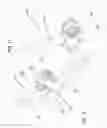 Fig. 06 - Jointed rod