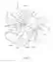 Fig. 15 - Methods and apparatus for stabilizing bone