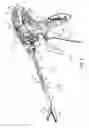 Fig. 03 - Simultaneous I-beam and spring driven cam jaw closure mechanism