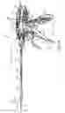Fig. 15 - Simultaneous I-beam and spring driven cam jaw closure mechanism