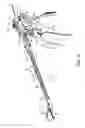 Fig. 16 - Simultaneous I-beam and spring driven cam jaw closure mechanism
