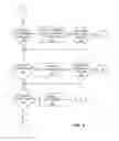 Fig. 06 - Method of determining a contour of an anatomical structure and selecting an orthopaedic implant to replicate the anatomical structure