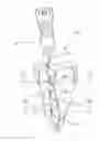 Fig. 01 - Endodontic instrument for drilling the root canals of a tooth