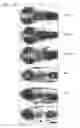 Fig. 03 - High-Throughput Organ-Targeted Microinjection System