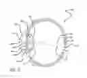 Fig. 05 - Real-time surgical reference indicium apparatus and methods for intraocular lens implantation