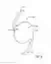 Fig. 06 - Real-time surgical reference indicium apparatus and methods for intraocular lens implantation