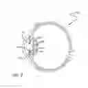 Fig. 08 - Real-time surgical reference indicium apparatus and methods for intraocular lens implantation