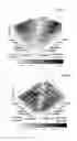 Fig. 08 - Control system for a grasping device