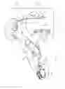 Fig. 04 - Upper extremity assistance device