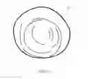 Fig. 12 - POST-SURGICAL ARTICLES FOR REDUCTION OF SWELLING, EDEMA, AND BRUISING