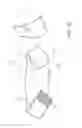 Fig. 17 - POST-SURGICAL ARTICLES FOR REDUCTION OF SWELLING, EDEMA, AND BRUISING